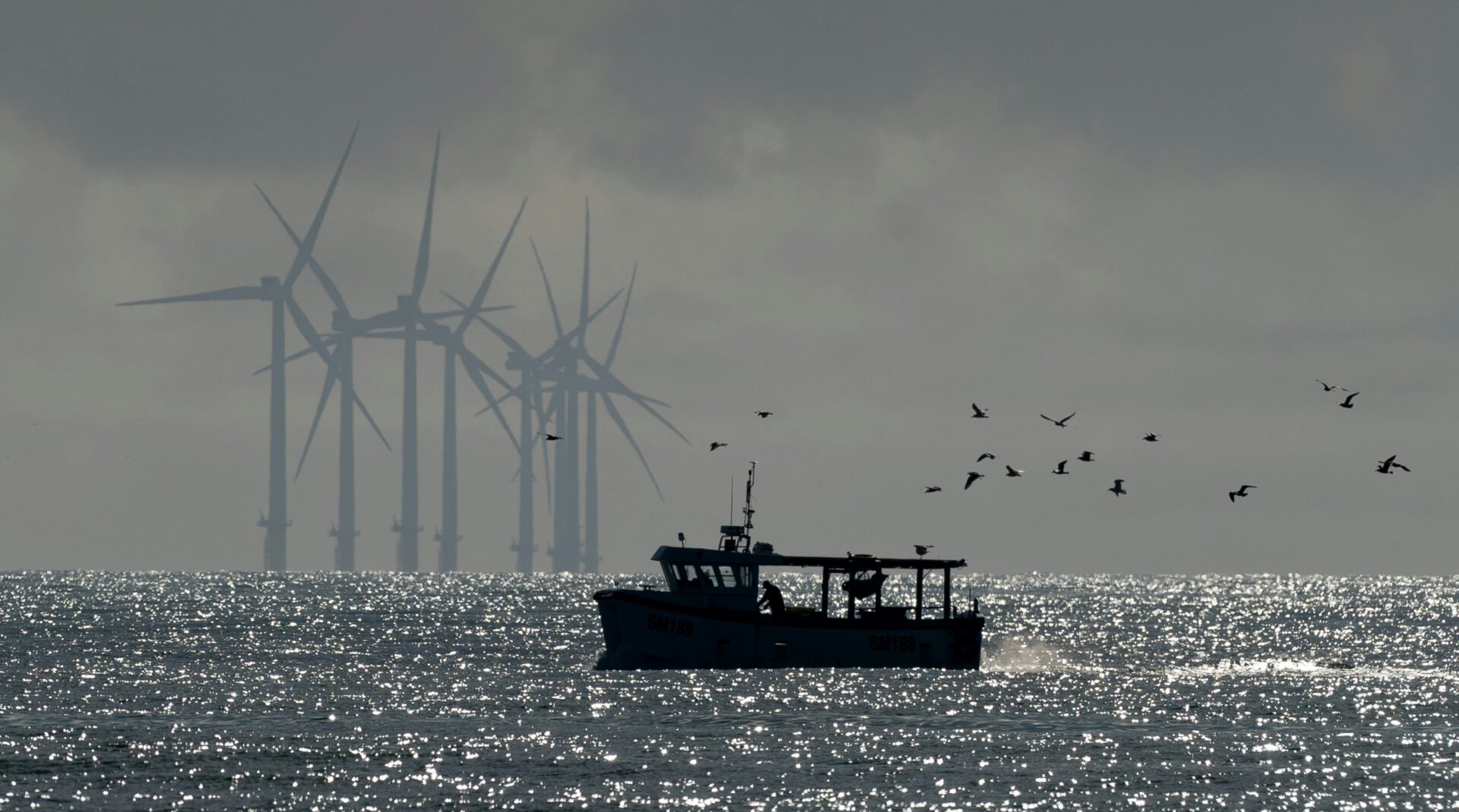 Van tomaat tot turbine: beleggen in coöperaties